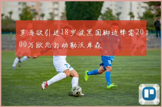 罗马欲引进18岁波黑国脚边锋需2000万欧元打动勒沃库森