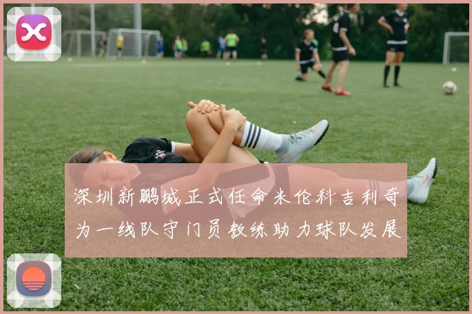 深圳新鹏城正式任命米伦科吉利奇为一线队守门员教练助力球队发展